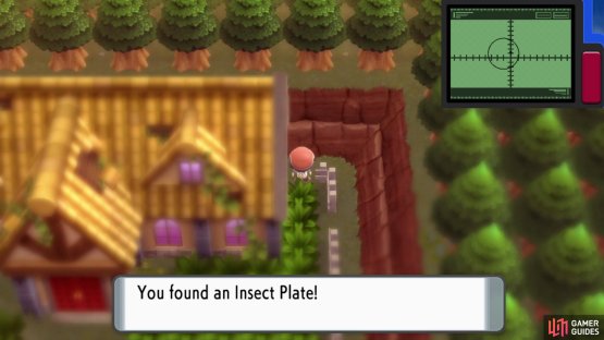 Hidden Insect Plate.