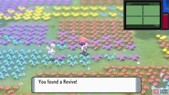 If you&rsquo;re diligent, you can find lots of hidden items among the flowers.