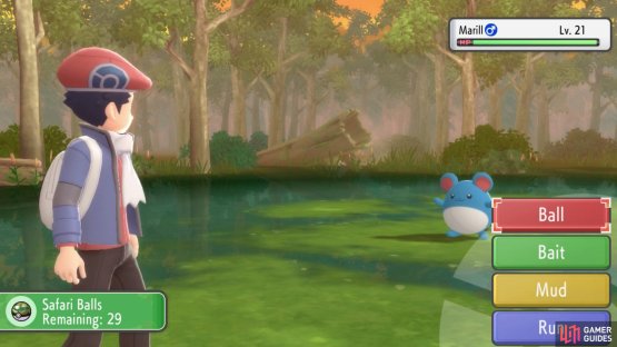 The options are similar to those in the Fuchsia City Safari Zone.