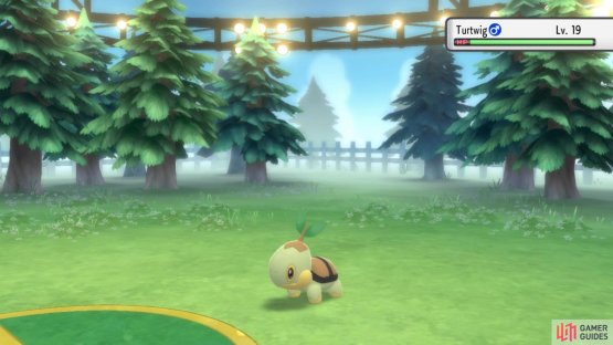She even has Turtwig, the Grass starter!