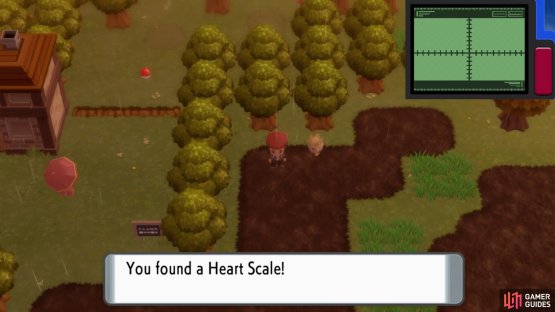 Hidden Heart Scale in Route 212 (South).