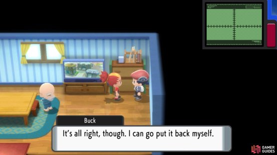 Chat to the old man and Buck, to make Buck return the Magma Stone.