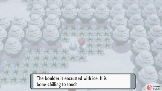 The icy rock at Route 217.