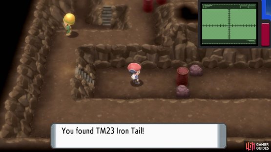 TM23 Iron Tail.