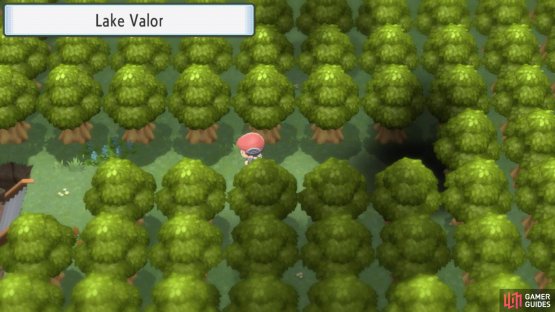 Lake Valor is the site of a Team Galactic experiment.