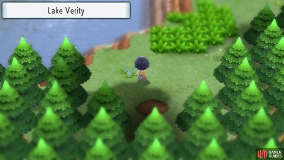 Lake Verity is one of the first locations that you visited.
