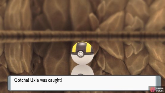 Then pop your best Pok&eacute; Balls. Simple!