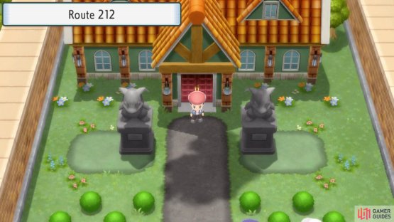 The Pok&eacute;mon Mansion on Route 212.