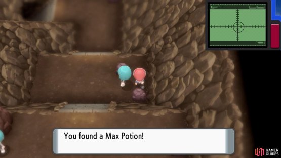 Hidden Max Potion.