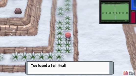 Use the Dowsing Machine to pinpoint this Full Heal.