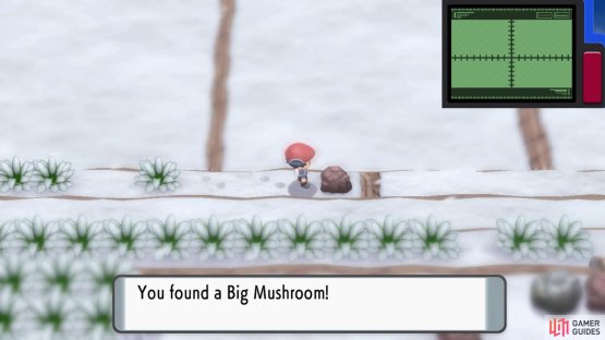 Hidden Big Mushroom.