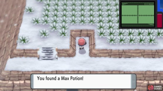 Hidden Max Potion.
