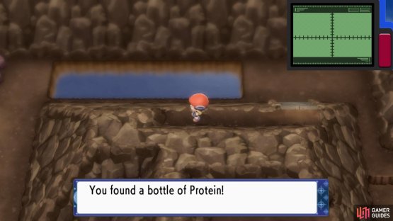 Protein.