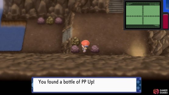 Hidden PP Up.