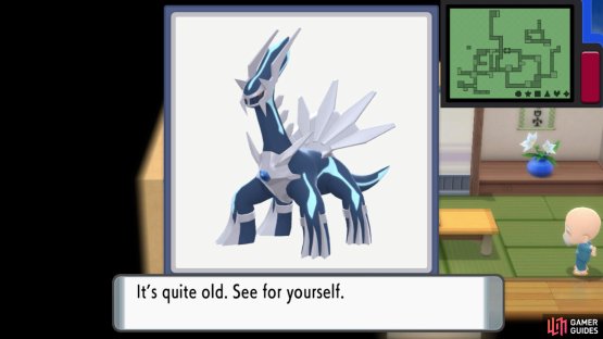 The old lady will show you Palkia or Dialga&rsquo;s data.