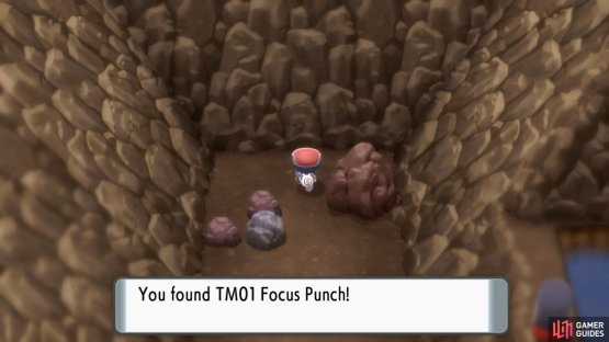 TM01 Focus Punch.
