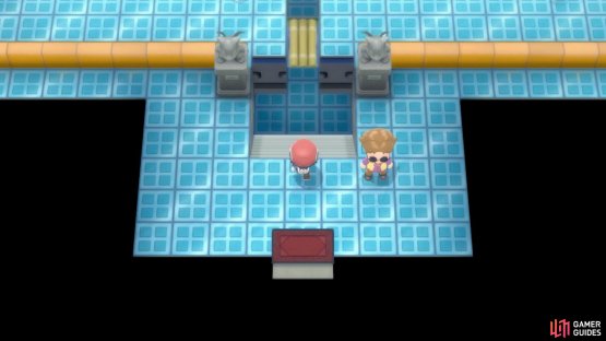 Grass and Electric-types will be vital here.