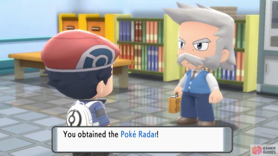 Professor Rowan will give you the Pok&eacute; Radar alongside the National Dex.