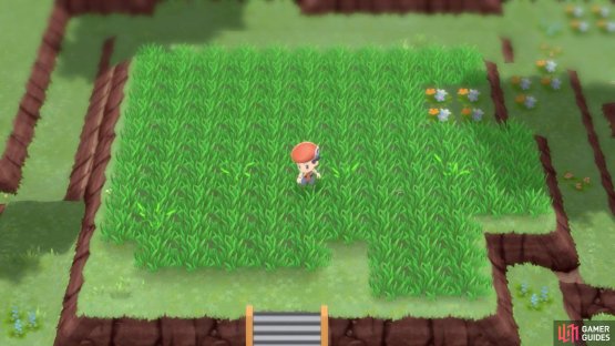 Each time you use the Pok&eacute; Radar, 4 shaking grass tiles will appear.