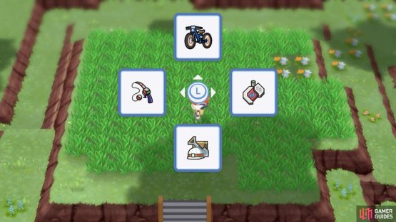 We assigned the Pok&eacute; Radar to the right button.