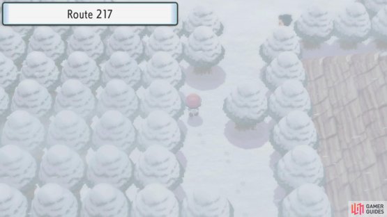 Route 217.