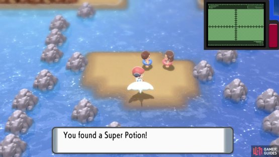 Super Potion.