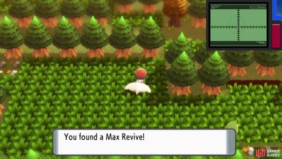 Hidden Max Revive.