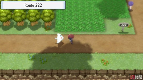 Route 222.