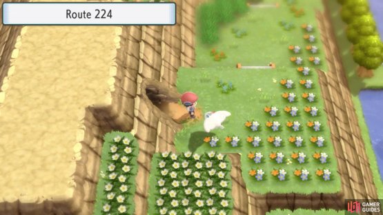 Route 224.