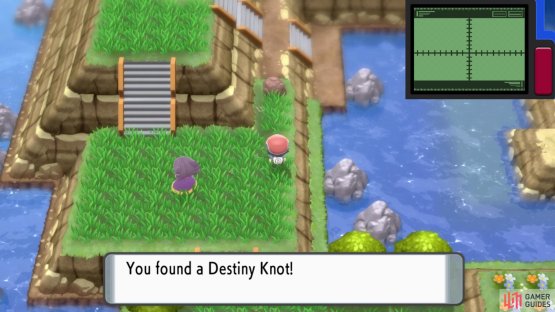 Destiny Knot.