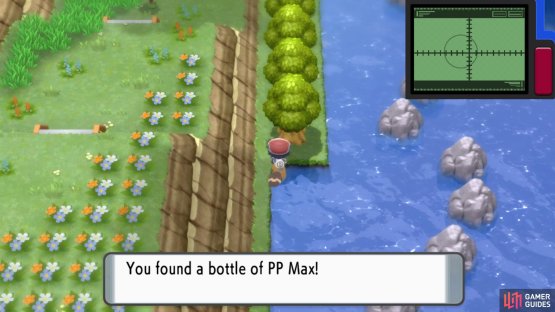Hidden PP Max.