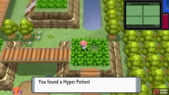 Hidden Hyper Potion.