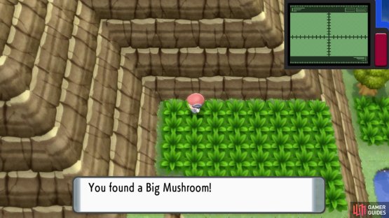 Hidden Big Mushroom.