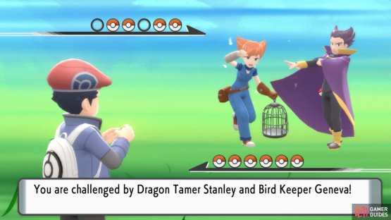 Dragon Tamer Stanley and Bird Keeper Geneva.