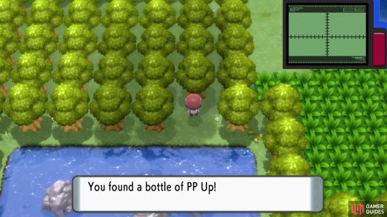 Hidden PP Up.