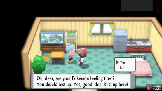 The old lady inside will heal up your Pok&eacute;mon.