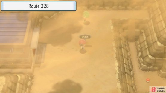 Route 228.