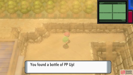 Hidden PP Up.