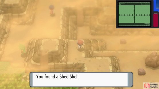 Shed Shell.