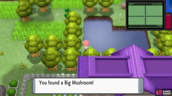Hidden Big Mushroom.