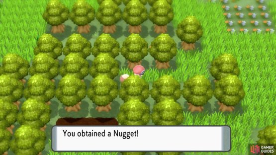 Nugget.