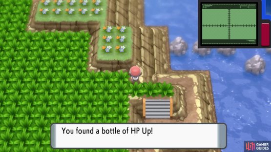 Hidden HP Up.