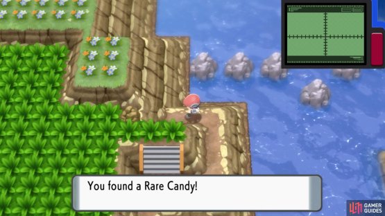 Rare Candy.