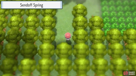 Sendoff Spring.