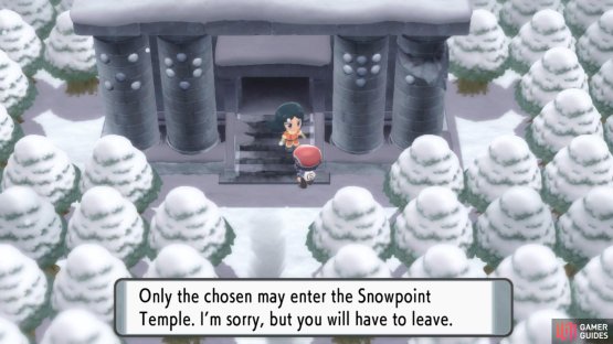 Normally, you&rsquo;re restricted from entering, but not when you&rsquo;ve got the National Dex.