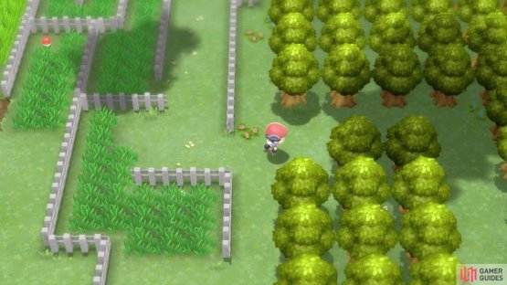 Huh, was this gap in the trees always here?