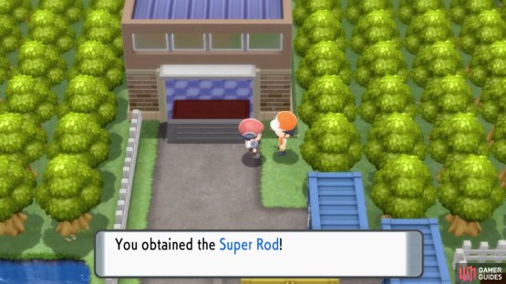 Agree to his comments to get a Super Rod.