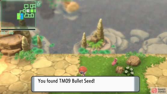 TM09 Bullet Seed.