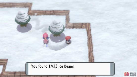 TM13 Ice Beam.