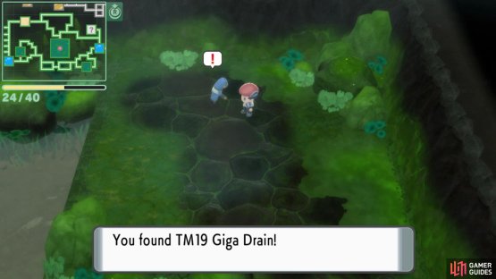 TM19 Giga Drain.